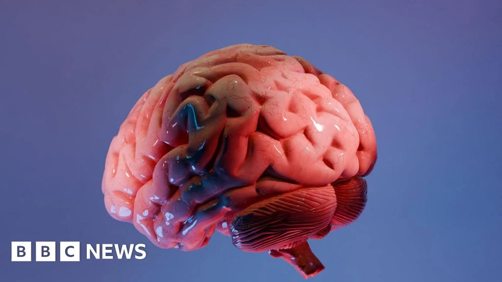 Indian scientists produce most detailed 3D atlas of the human brainstem