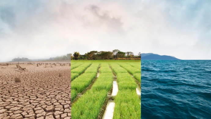 How to incorporate sustainability into corporate strategies | e27