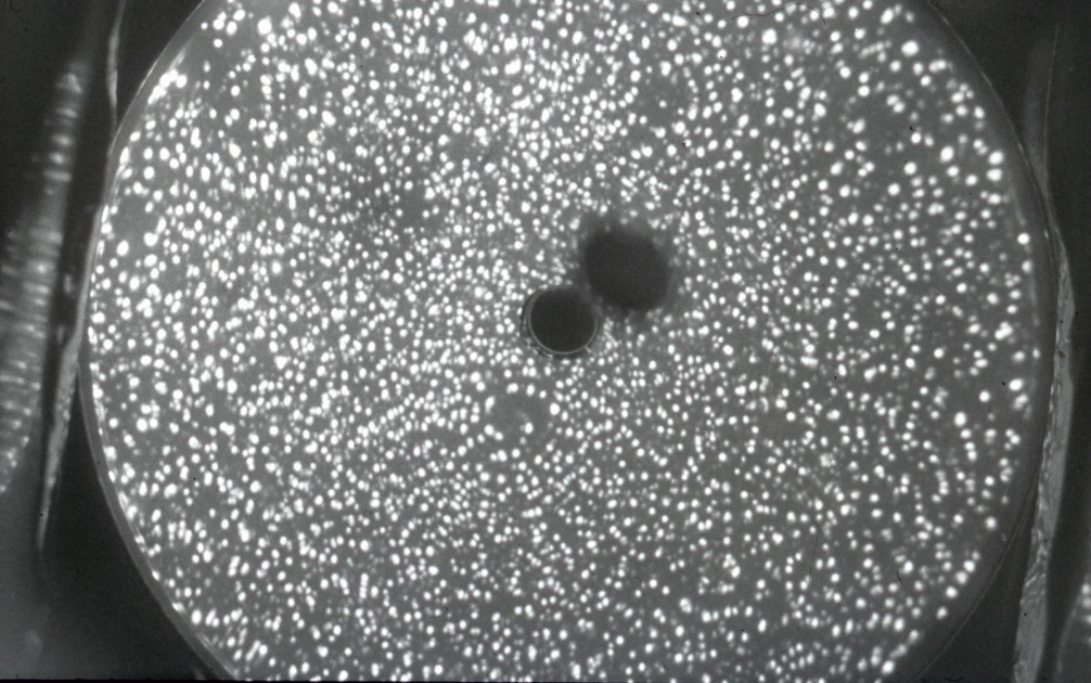 Splitting atoms & splitting hairs