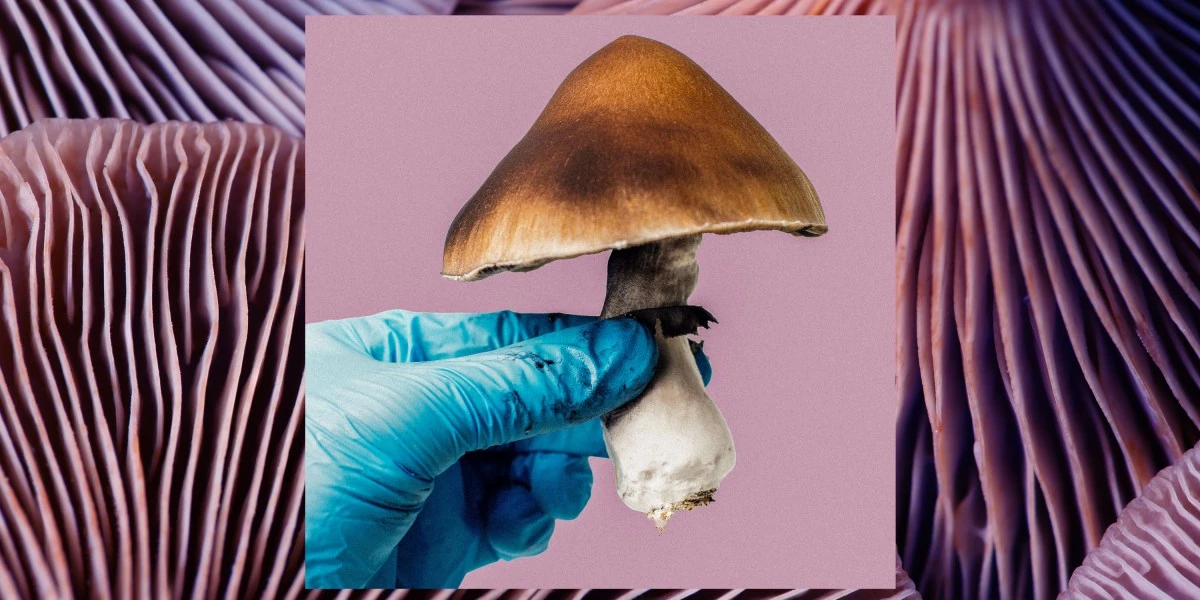 Mind-altering substances are (still) falling short in clinical trials