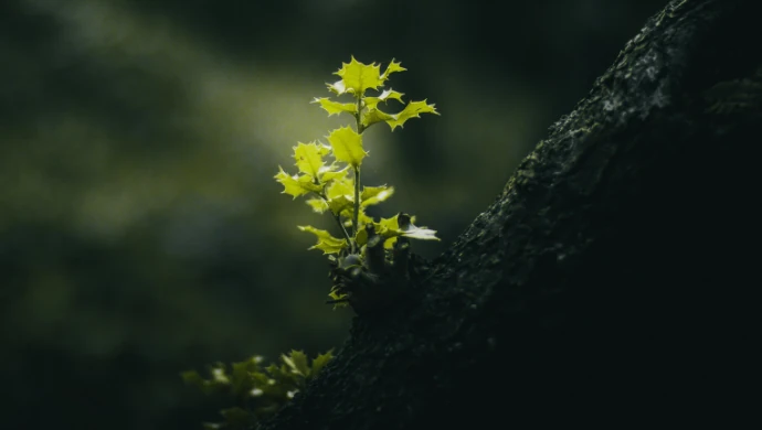 Resetting for sustainable growth: What 2025 taught me about building businesses that last | e27