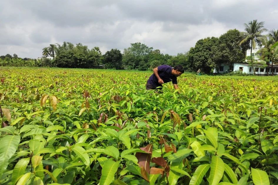 India’s Varaha bags $20M to scale carbon removal from the Global South | TechCrunch