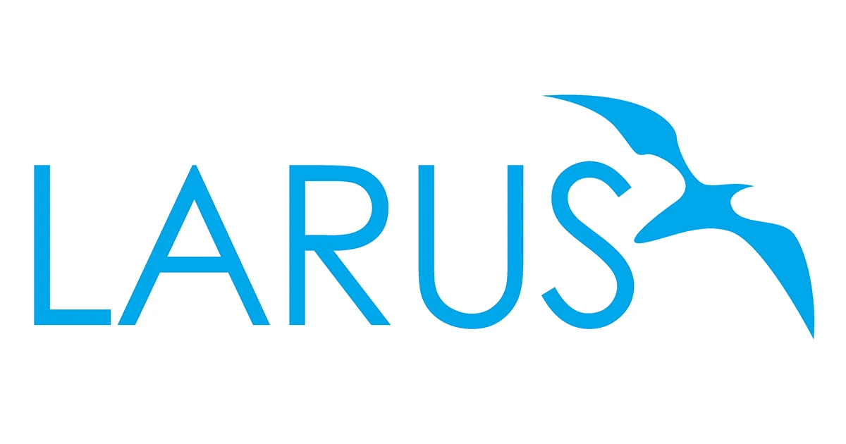 Why Every ISP Should Understand the IP Leasing Contract Process - LARUS
