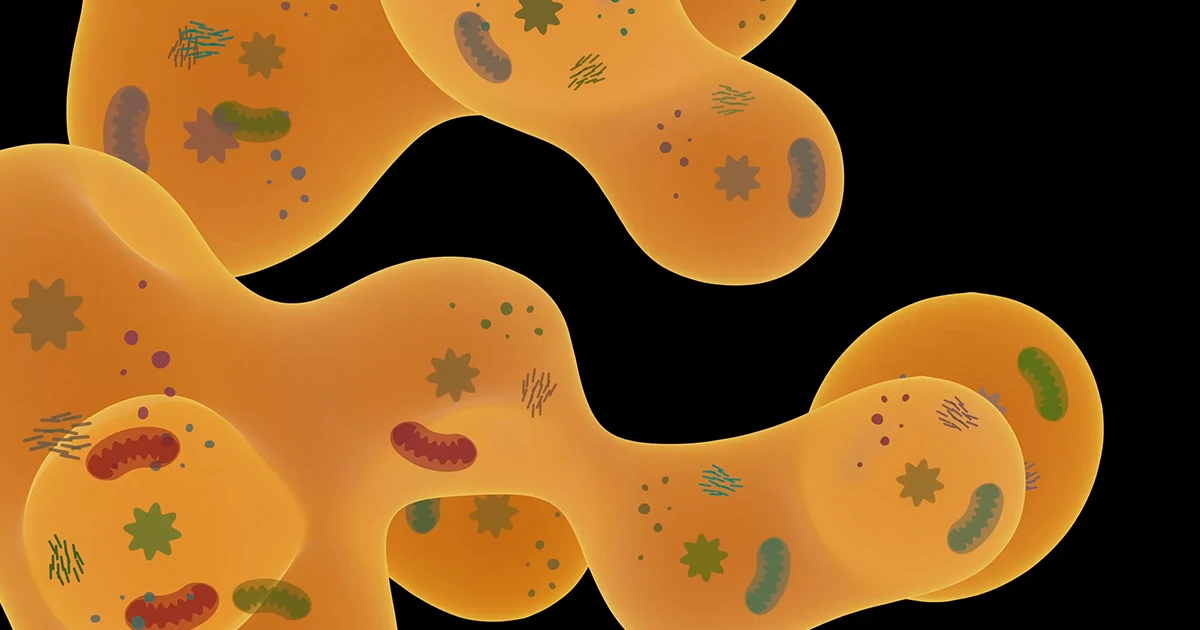 The Biophysical World Inside a Jam-Packed Cell | Quanta Magazine