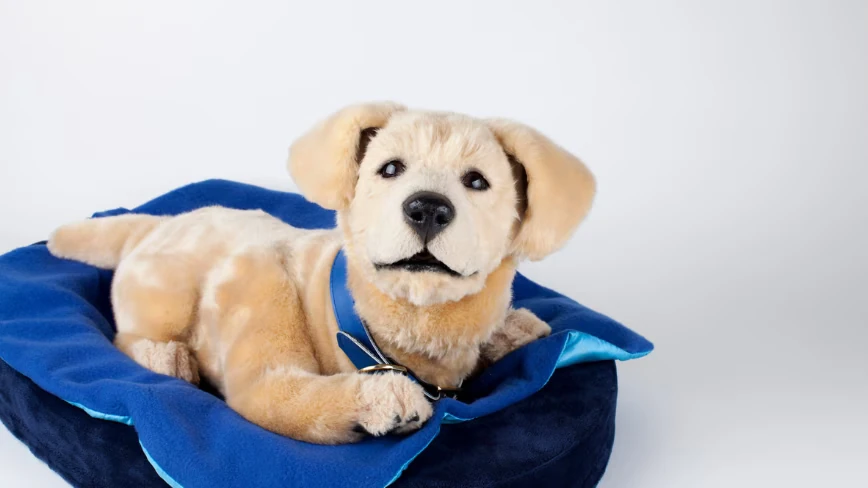 Tombot raises $7m to bring its robotic dog Jennie to market
