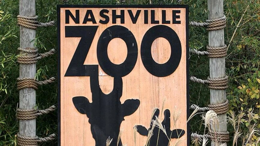 Nashville Zoo says a proposed AI data centre could stop its endangered leopards from breeding