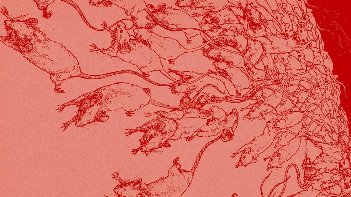 Why Alberta doesn’t have rats