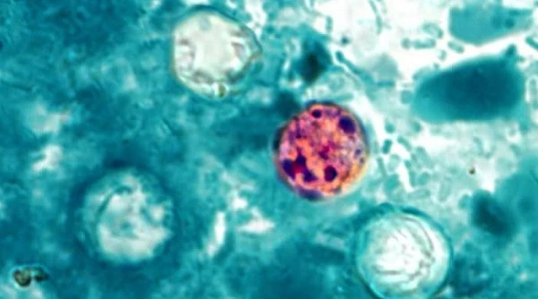 Taylor Farms Cyclospora outbreak triples in size