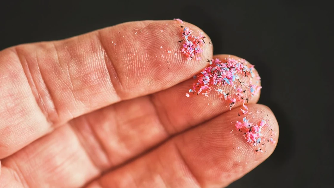 What Do We Know About the Microplastics Inside Us?