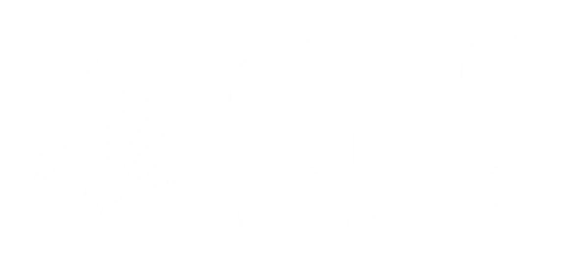 Market Research Reports and Consulting – Global Insight Services Social Networking App Market