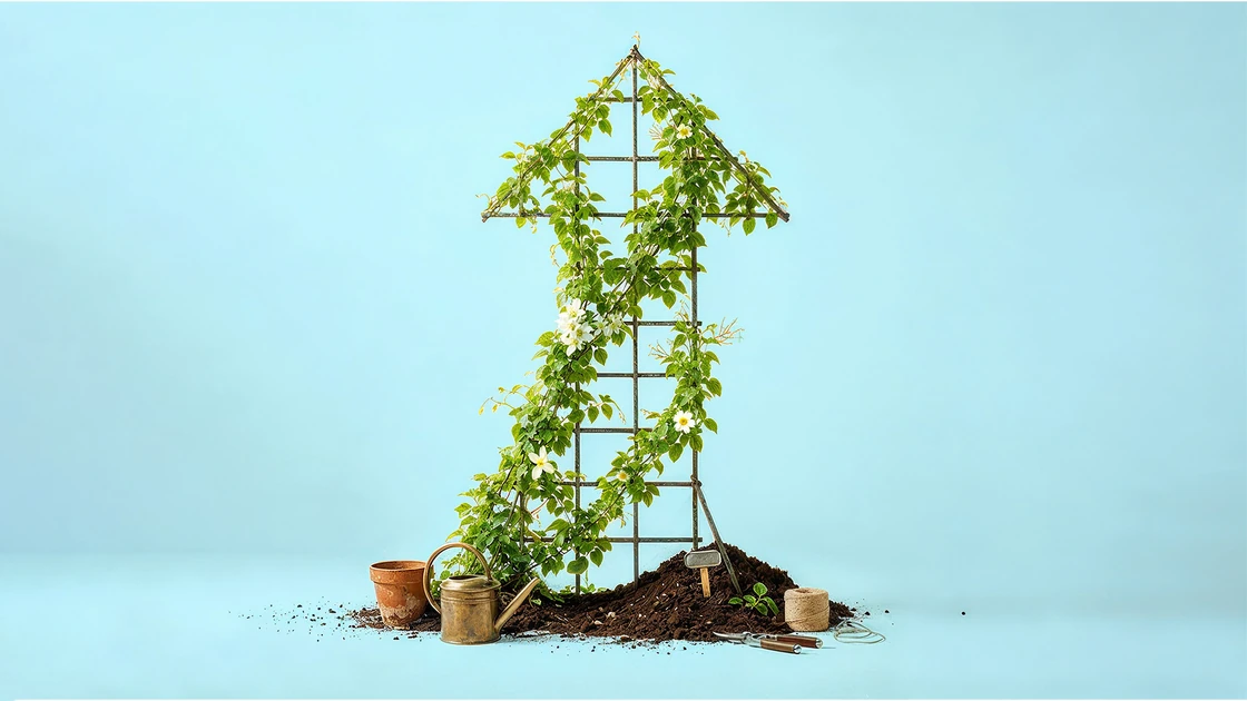 How Fast-Growing Companies Can Make Better Decisions