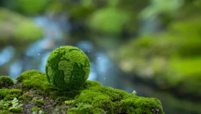The integrity gap in ESG tech: Why defensibility is the next frontier