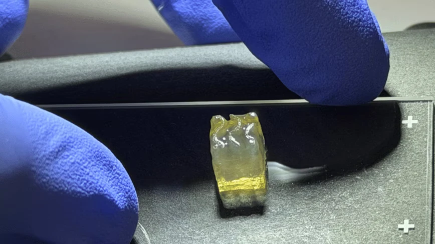 A startup just 3D-printed kidney and liver tissue in space, a first