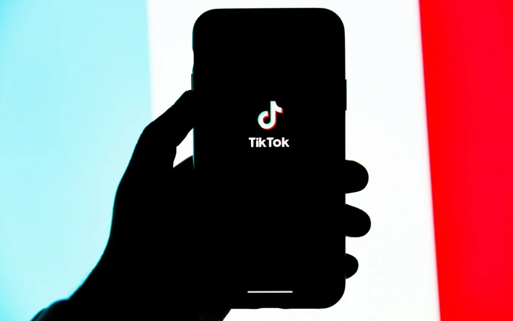 Understanding TikTok Audience Growth in 2026
