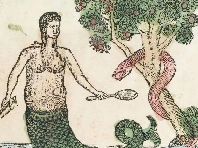 Metamorphosis: Transformations in the Early Modern Flap Book (19th Century)