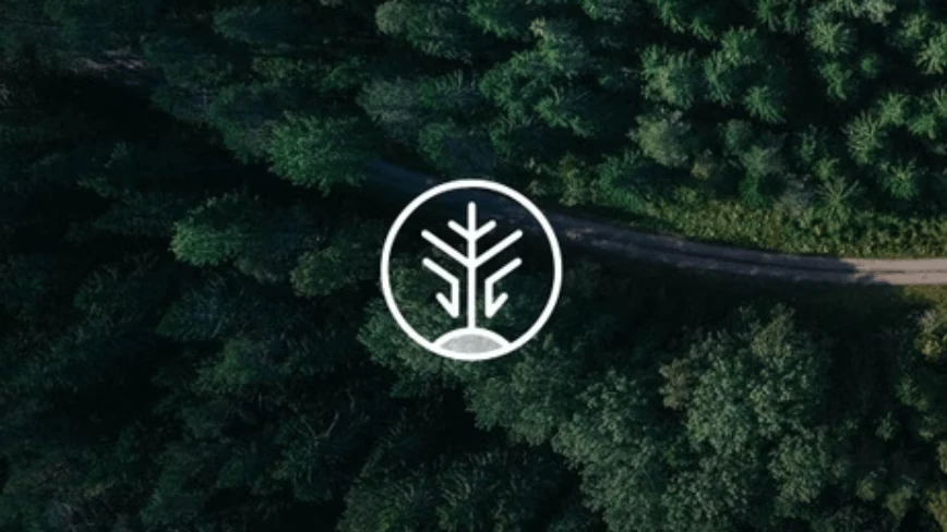 The companies burning the most electricity are buying carbon credits from genetically engineered trees