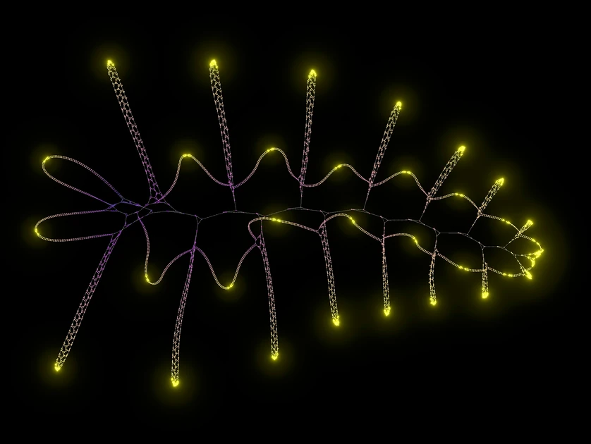 Growing Graphs