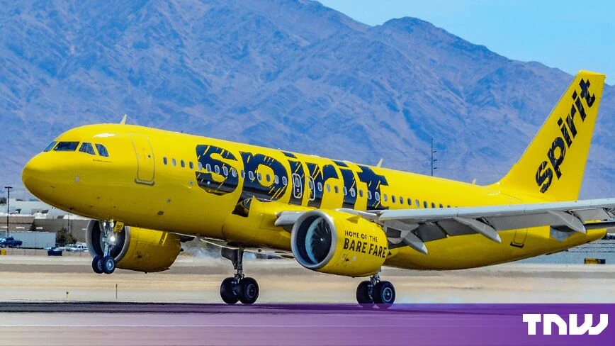 Google picked and paid for the firm anonymising the Spirit Airlines data