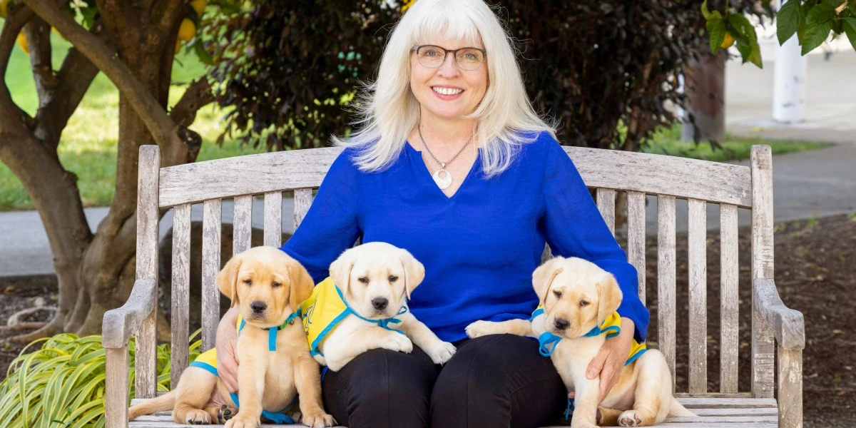 Caring for service dogs