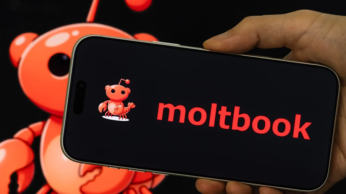 Elon Musk has lauded the ‘social media for AI agents’ platform Moltbook as a bold step for AI. Others are skeptical