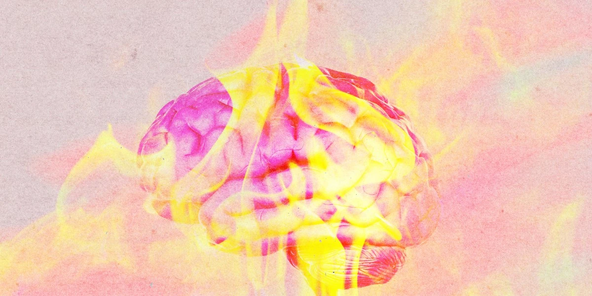 Heat waves mess with your brain. Scientists are trying to figure out why.