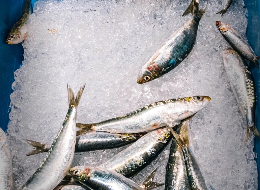 Why Can’t You Find Canned Sardines Right Now?