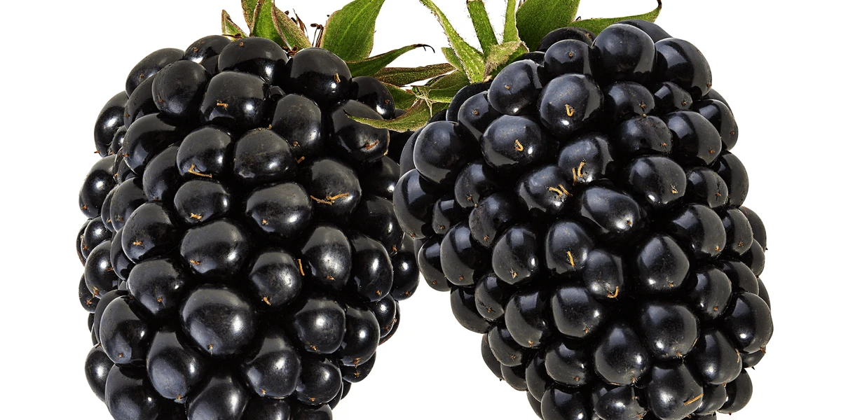 There Is Engineering Everywhere, Even in Blackberries