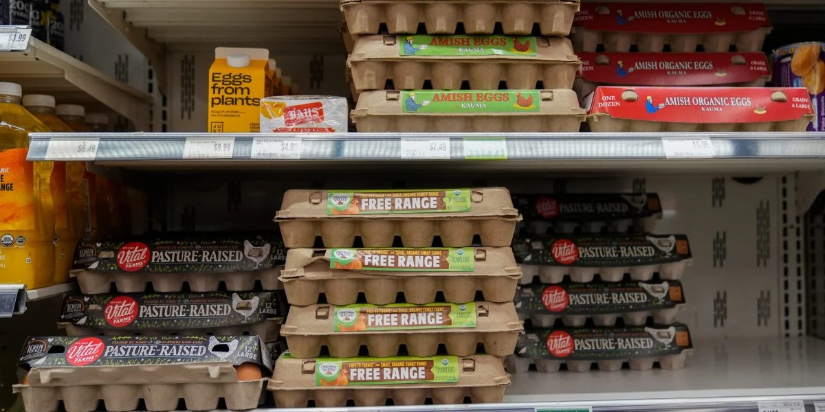 Egg companies made $1.22B in profit off $6 carton