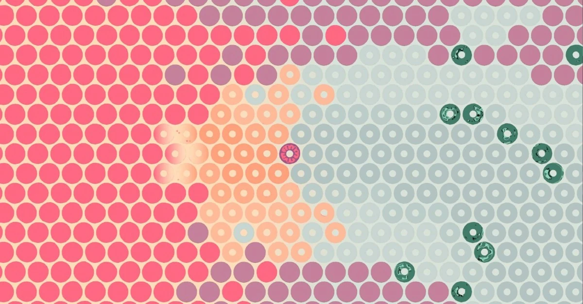 What Surrounds Us will make you think a lot about circles