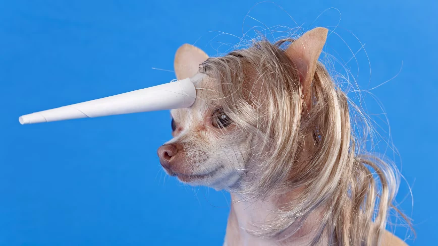 AI is crushing startup valuations for companies that raised before ChatGPT existed