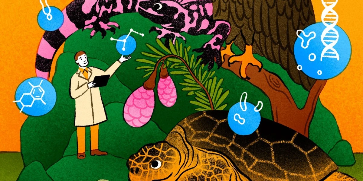 Job titles of the future: Nature’s drug designer