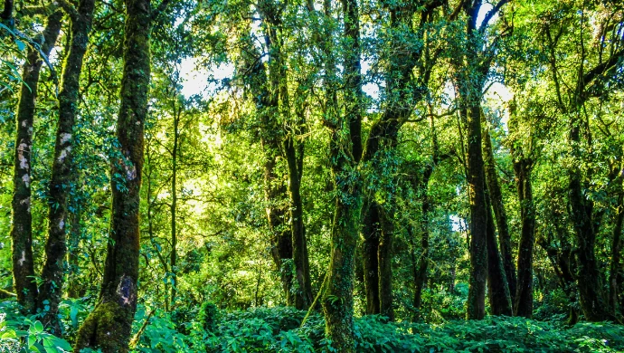 Climate tech’s shift from doing good to doing well | e27