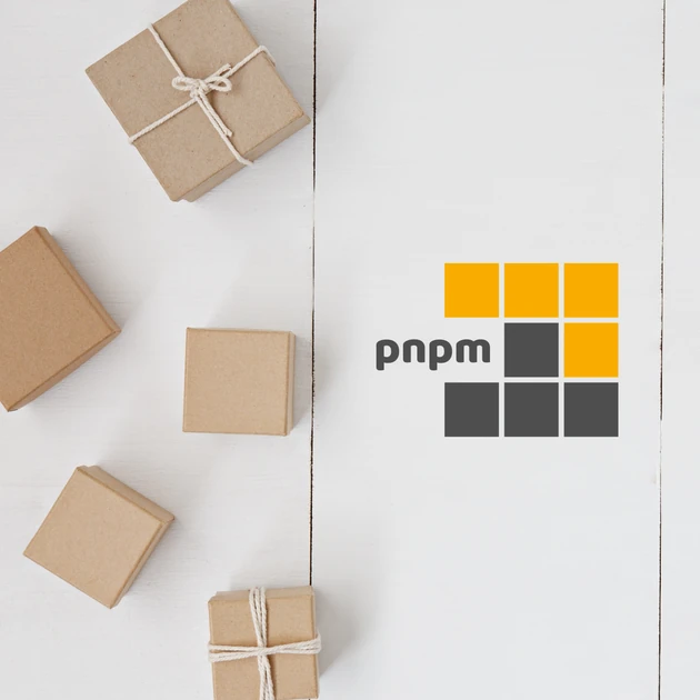 Pnpm 12.0