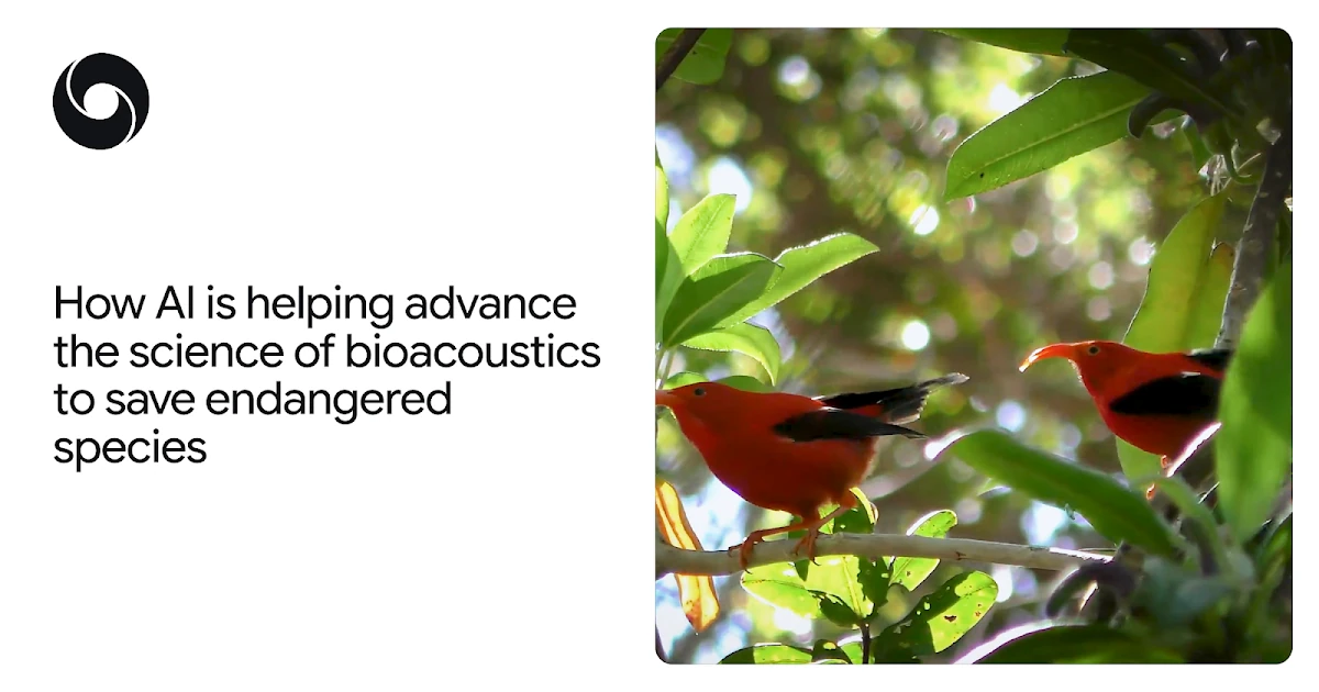 How AI is helping advance the science of bioacoustics to save endangered species