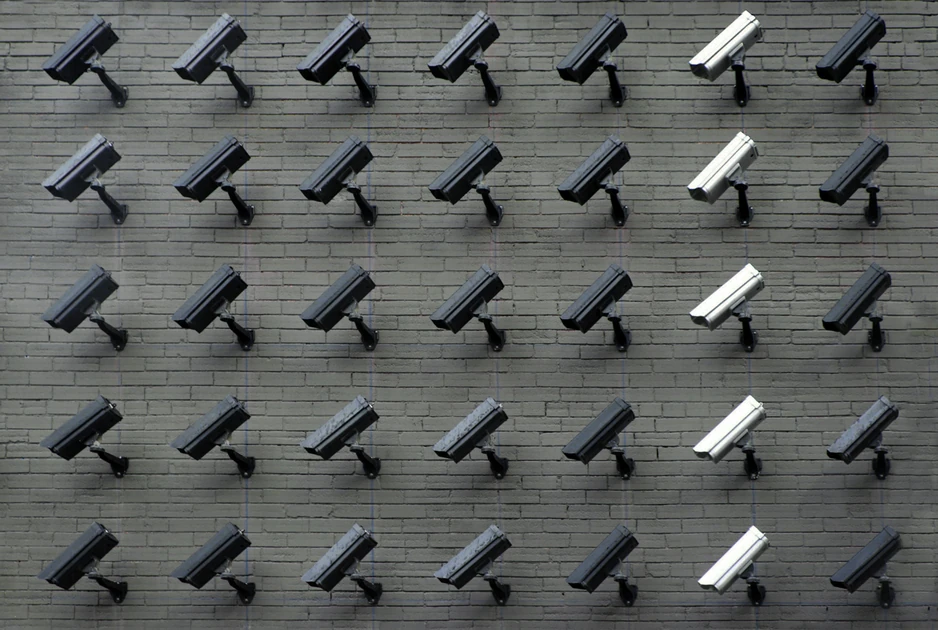 Guarding Democracy in the Age of AI: When Everyone Has to Do Their Part | Edmond & Lily Safra Center for Ethics