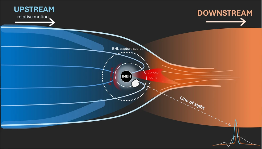 A wandering black hole caught feeding on the run