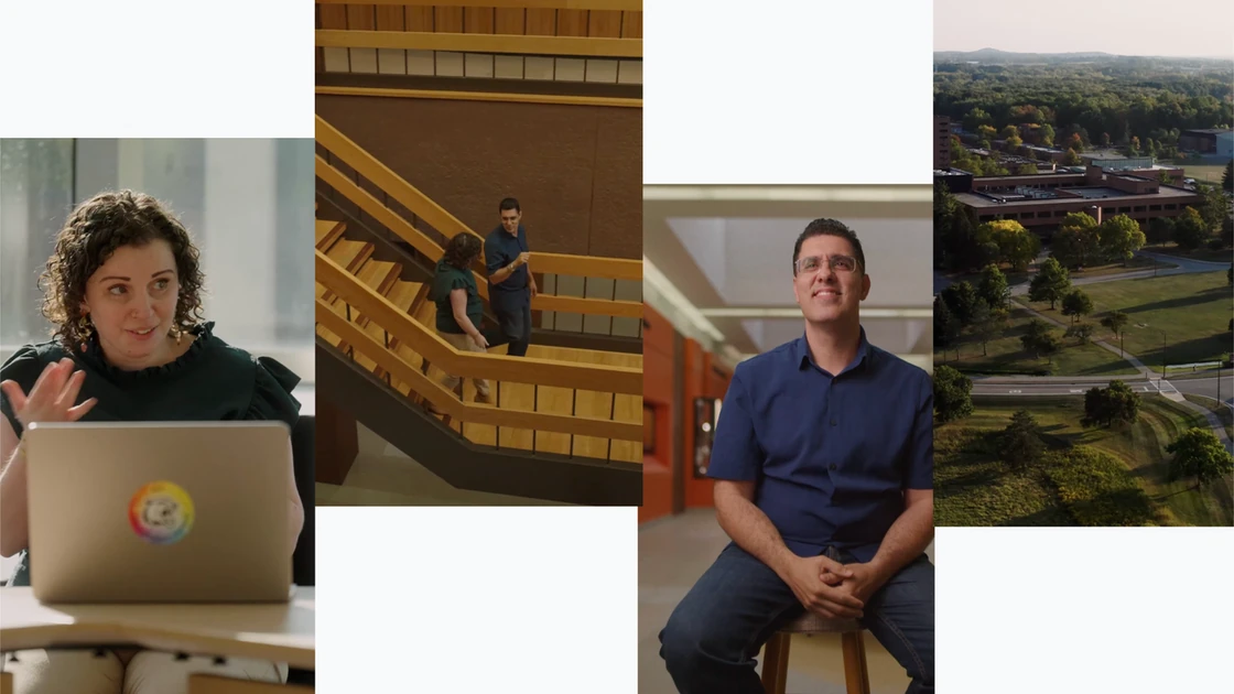 Natively Adaptive Interfaces: A new framework for AI accessibility
