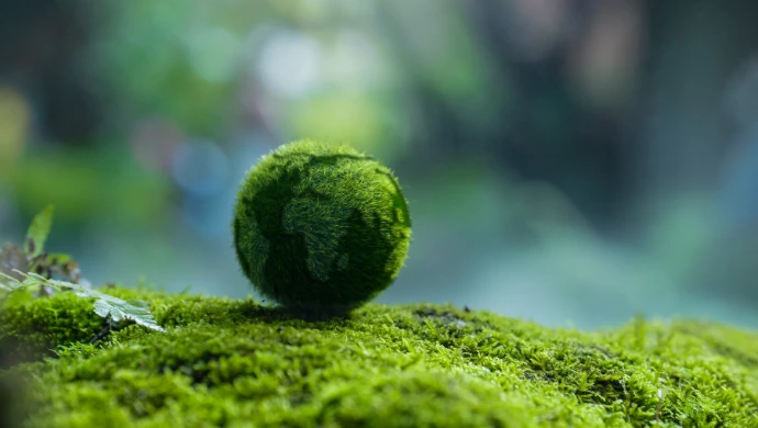 Pakistan’s carbon market: A new opportunity for startups and SMEs | e27