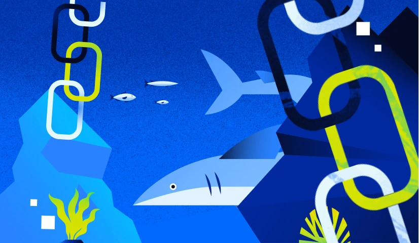 How to Measure Product-Market Fit (15 Metrics to Monitor) | DigitalOcean