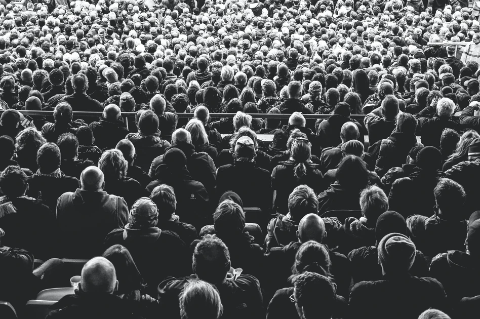 Building an Audience: How to Grow an Audience Effortlessly