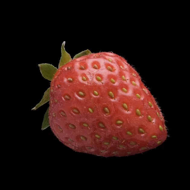 Gaussian Splat of a Strawberry