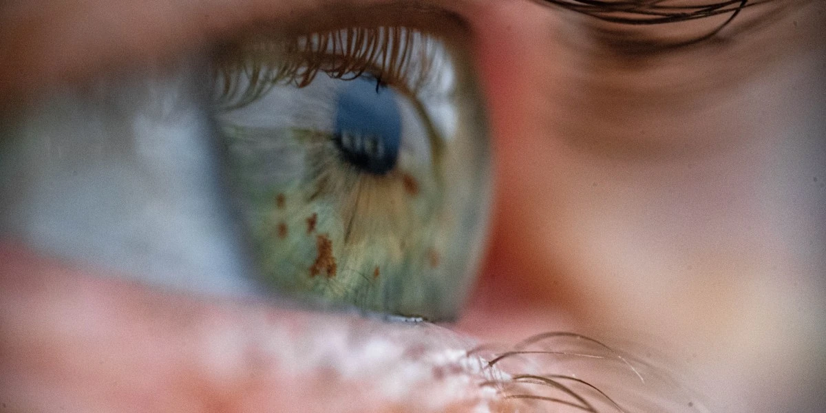 A device that revives eyeballs from dead donors could make eye transplants possible