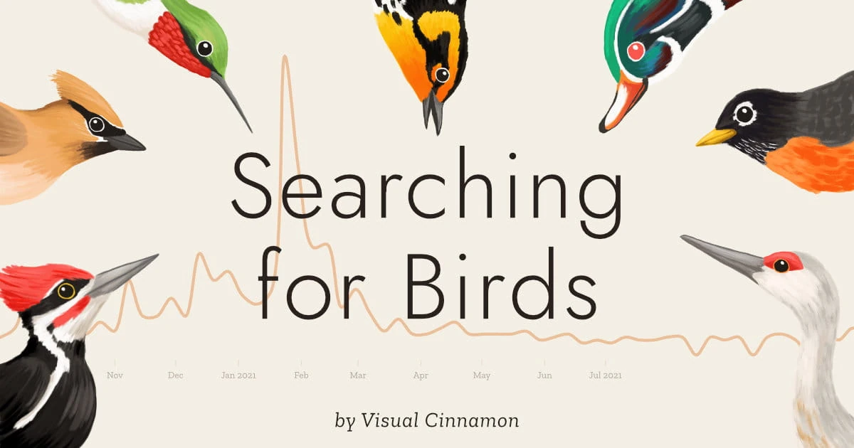 Searching for Birds