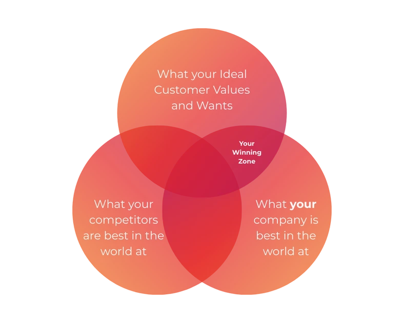 How to find your “Target Audience”: Scale Your Revenue by Obsessing Over Your Ideal Customer - Big Red Jelly