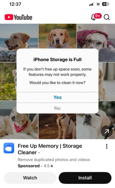 Why is Google still serving dodgy ads?