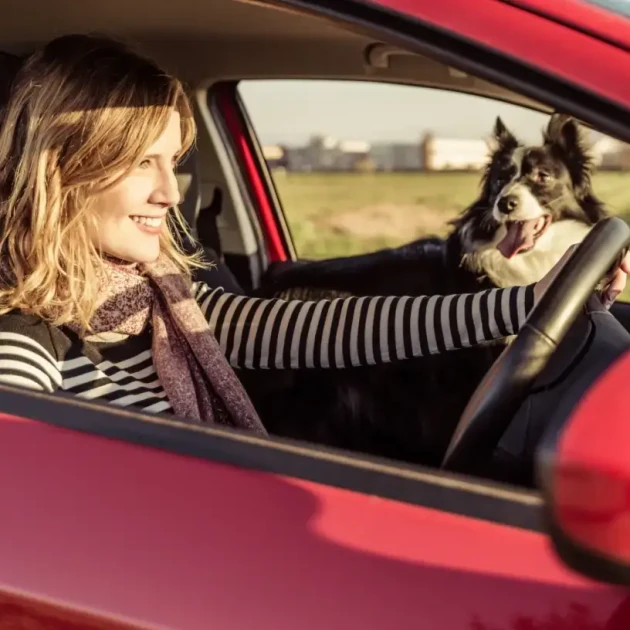 Compare Car Insurance Quotes | Maddy Paid $548 Less!*