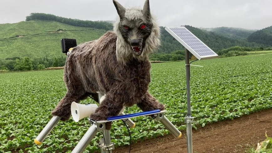 Japan’s Monster Wolf robot is a $4,000 scarecrow with red LED eyes, and it actually works