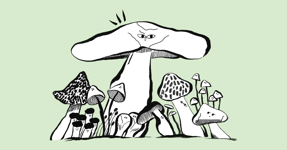 7 Marketing Strategies for Growing Your Audience | Mailchimp