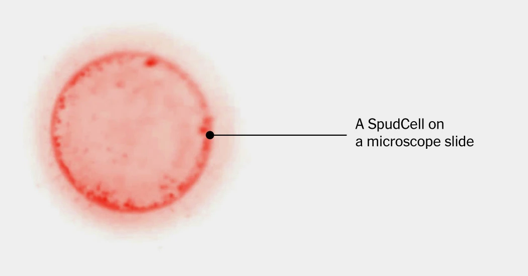 This Cell Feeds, Grows and Reproduces. and It's Manmade