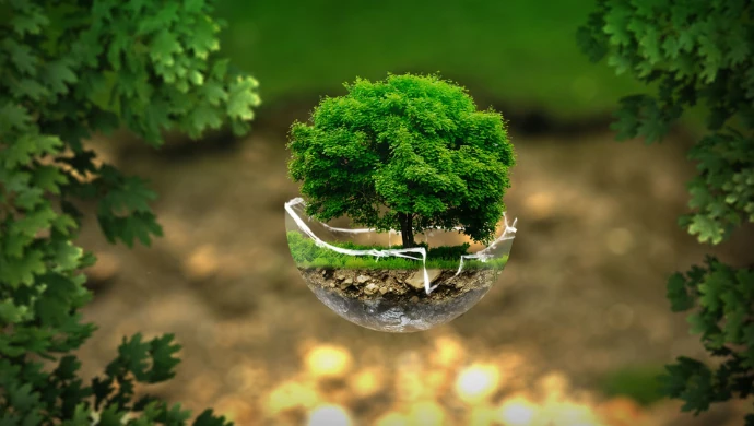 Insulation’s environmental impact: A call for sustainable innovation | e27